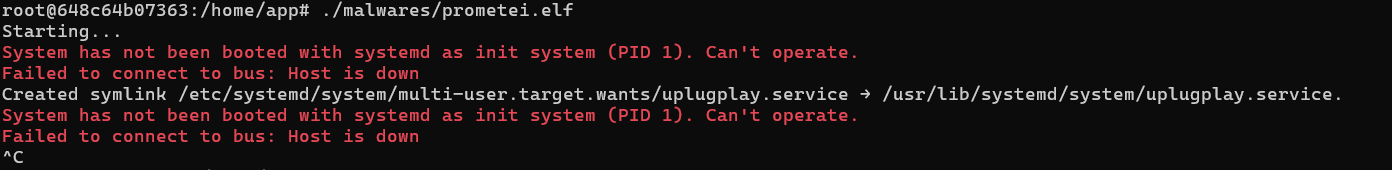 mal_execution_1